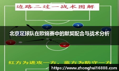 智博19有限公司